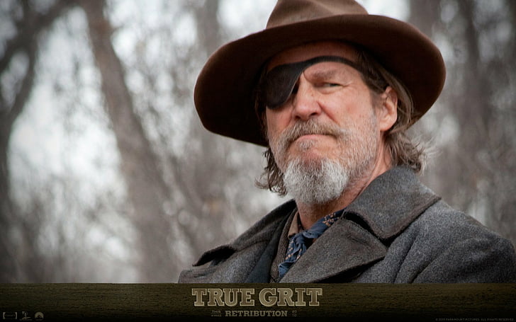 Hollywood Movie True Grit Plot Summary Reviews Actors Quotes 2010